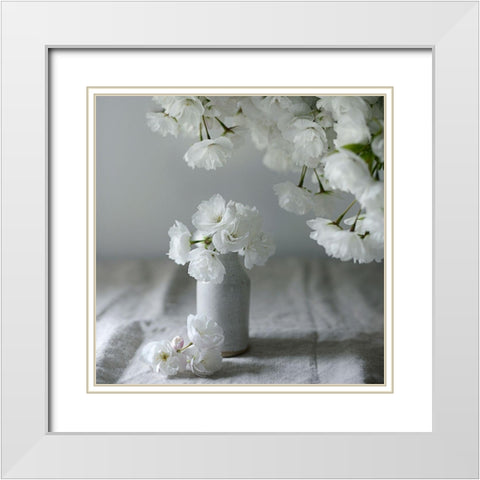 Baby Blooms White Modern Wood Framed Art Print with Double Matting by Gardner, Sarah