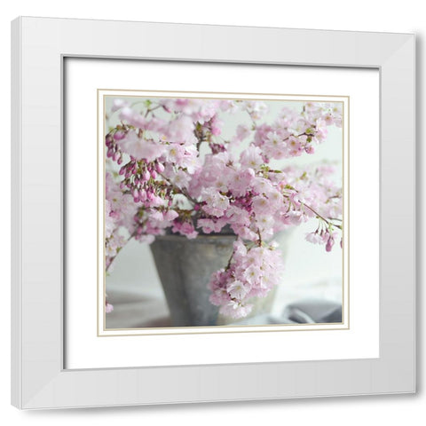 Growth Every Day White Modern Wood Framed Art Print with Double Matting by Gardner, Sarah