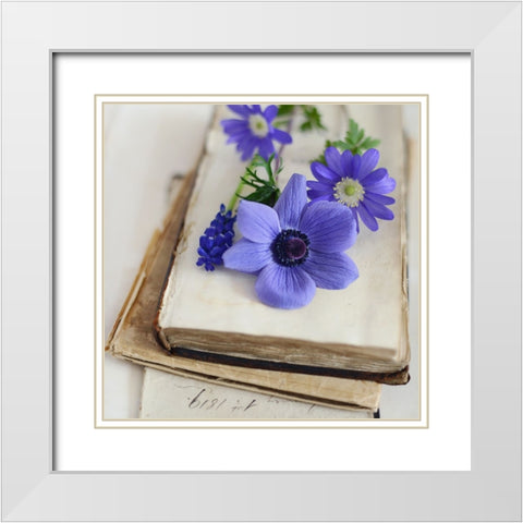 Blissful Blooms Close Up White Modern Wood Framed Art Print with Double Matting by Gardner, Sarah