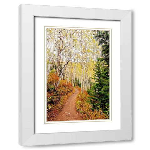 Walk In Christ White Modern Wood Framed Art Print with Double Matting by Nawrocke, Bruce
