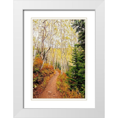 Walk In Christ White Modern Wood Framed Art Print with Double Matting by Nawrocke, Bruce