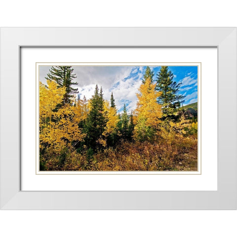 Natures Hidden Treasures I White Modern Wood Framed Art Print with Double Matting by Nawrocke, Bruce