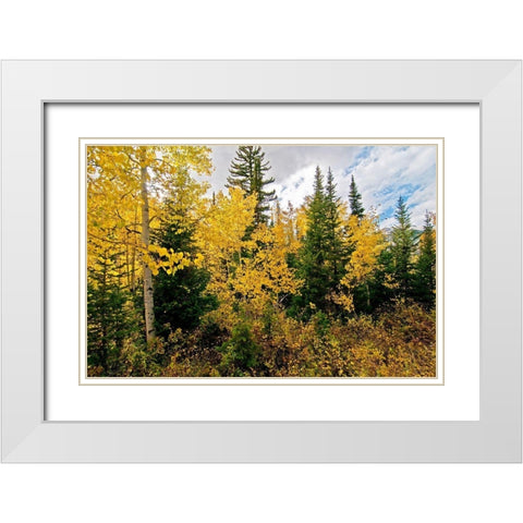 Natures Hidden Treasures II White Modern Wood Framed Art Print with Double Matting by Nawrocke, Bruce
