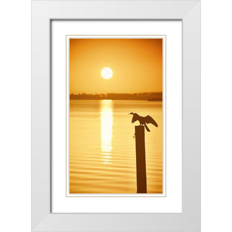 Bird Watch on the Lake White Modern Wood Framed Art Print with Double Matting by ODell, Debbie