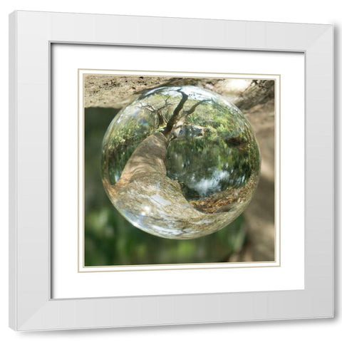 Nature Droplets White Modern Wood Framed Art Print with Double Matting by ODell, Debbie