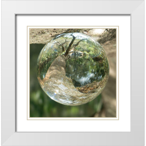 Nature Droplets White Modern Wood Framed Art Print with Double Matting by ODell, Debbie