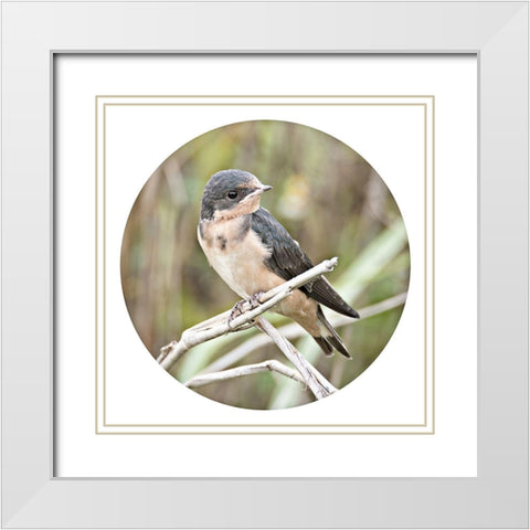 On Watch Out White Modern Wood Framed Art Print with Double Matting by ODell, Debbie