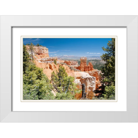 Western Summers White Modern Wood Framed Art Print with Double Matting by ODell, Debbie