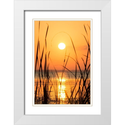 Sunset on the Lake I White Modern Wood Framed Art Print with Double Matting by ODell, Debbie