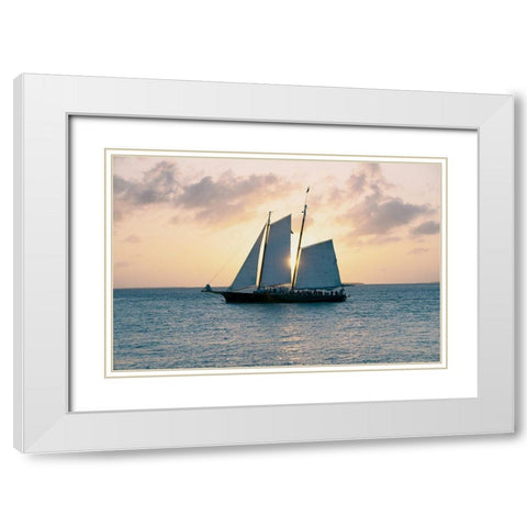Coastal Sailing White Modern Wood Framed Art Print with Double Matting by ODell, Debbie