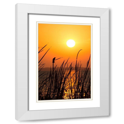 Sunset on the Lake II White Modern Wood Framed Art Print with Double Matting by ODell, Debbie
