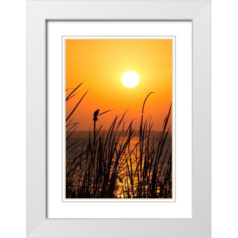 Sunset on the Lake II White Modern Wood Framed Art Print with Double Matting by ODell, Debbie
