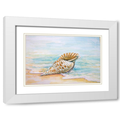 Queen Conch White Modern Wood Framed Art Print with Double Matting by Diannart