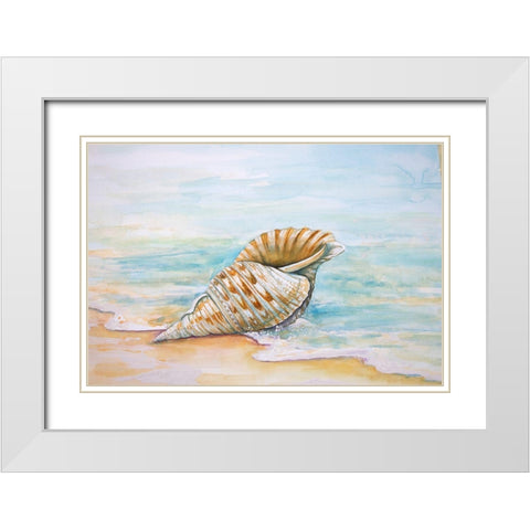 Queen Conch White Modern Wood Framed Art Print with Double Matting by Diannart