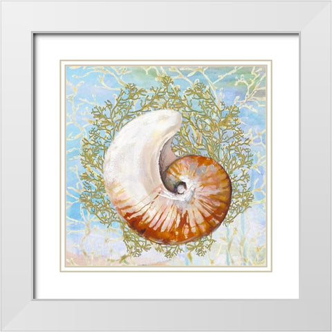 Shell Medley III White Modern Wood Framed Art Print with Double Matting by Diannart