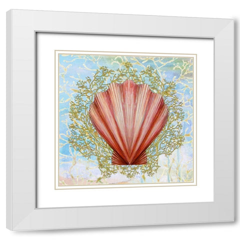 Shell Medley I White Modern Wood Framed Art Print with Double Matting by Diannart