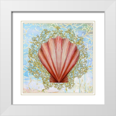 Shell Medley I White Modern Wood Framed Art Print with Double Matting by Diannart