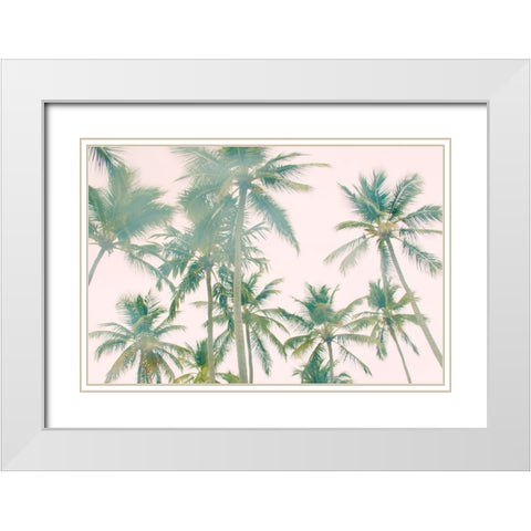 Top Of Palm Island White Modern Wood Framed Art Print with Double Matting by Navas, Emily