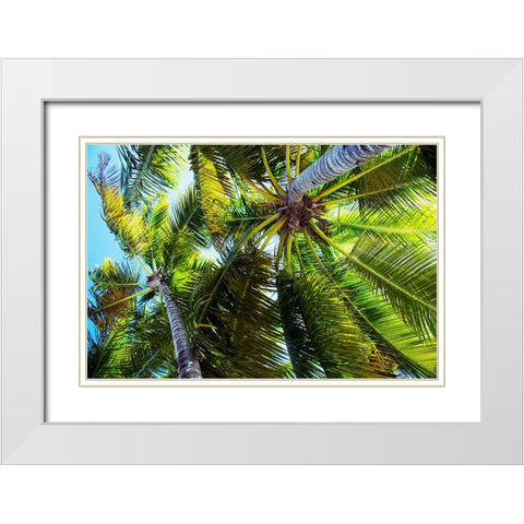 The Shady Spots I White Modern Wood Framed Art Print with Double Matting by Navas, Emily