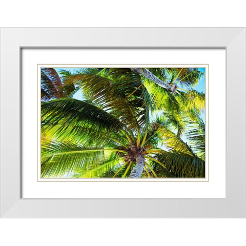 The Shady Spots II White Modern Wood Framed Art Print with Double Matting by Navas, Emily