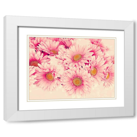 Pink Daisies I White Modern Wood Framed Art Print with Double Matting by Navas, Emily
