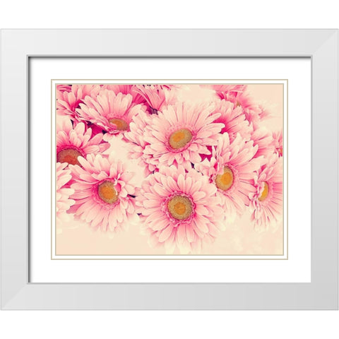 Pink Daisies I White Modern Wood Framed Art Print with Double Matting by Navas, Emily