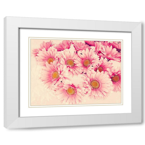 Pink Daisies II White Modern Wood Framed Art Print with Double Matting by Navas, Emily