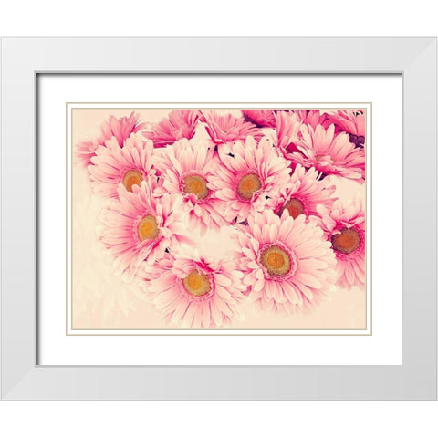 Pink Daisies II White Modern Wood Framed Art Print with Double Matting by Navas, Emily