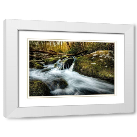 Fallen Timber White Modern Wood Framed Art Print with Double Matting by Amos, Andy