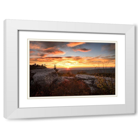 Sunrise in Fall I White Modern Wood Framed Art Print with Double Matting by Amos, Andy