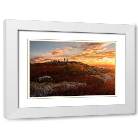 Sunrise in Fall II White Modern Wood Framed Art Print with Double Matting by Amos, Andy