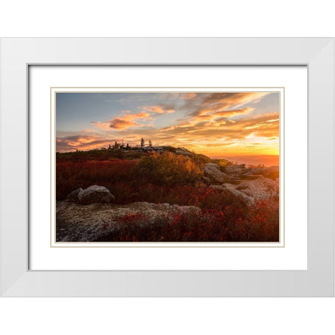 Sunrise in Fall II White Modern Wood Framed Art Print with Double Matting by Amos, Andy