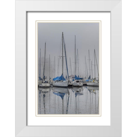 Sailing Boats White Modern Wood Framed Art Print with Double Matting by Amos, Andy