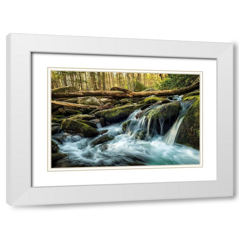 Sticks and Stones White Modern Wood Framed Art Print with Double Matting by Amos, Andy