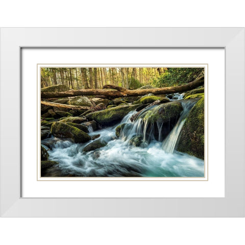 Sticks and Stones White Modern Wood Framed Art Print with Double Matting by Amos, Andy