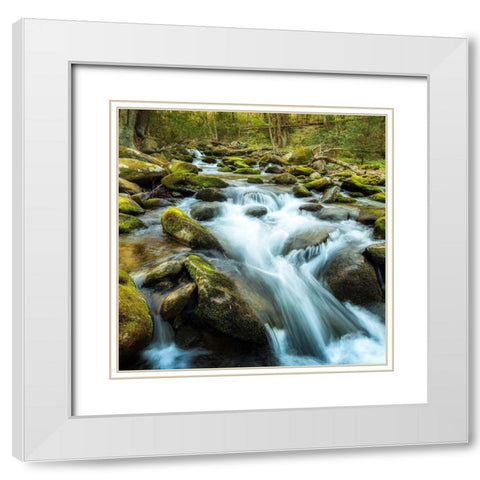 Forest River White Modern Wood Framed Art Print with Double Matting by Amos, Andy