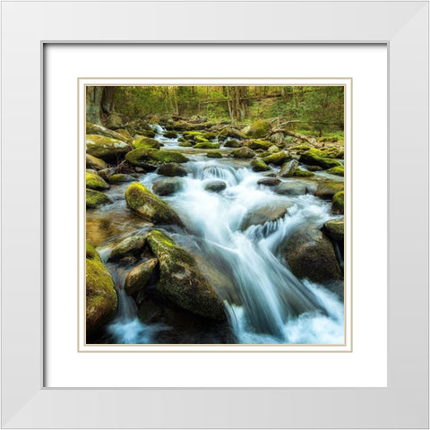 Forest River White Modern Wood Framed Art Print with Double Matting by Amos, Andy