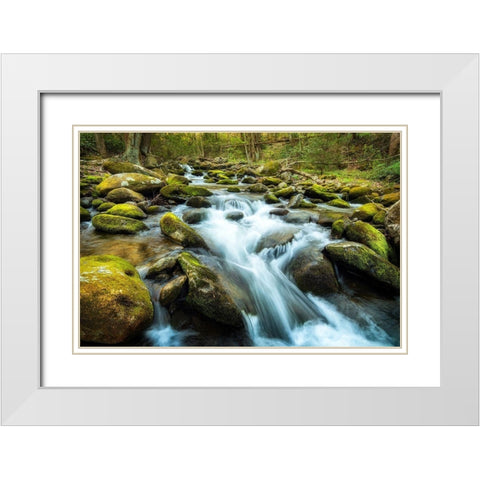 Moss Rocks White Modern Wood Framed Art Print with Double Matting by Amos, Andy
