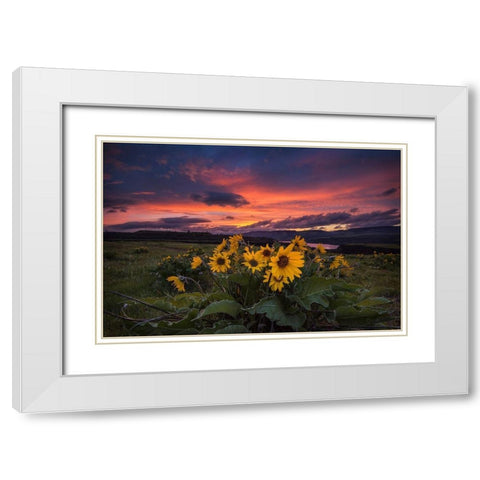 Sunset at the Gorge White Modern Wood Framed Art Print with Double Matting by Amos, Andy