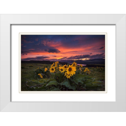 Sunset at the Gorge White Modern Wood Framed Art Print with Double Matting by Amos, Andy