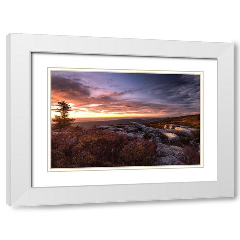Sunrise in Fall III White Modern Wood Framed Art Print with Double Matting by Amos, Andy