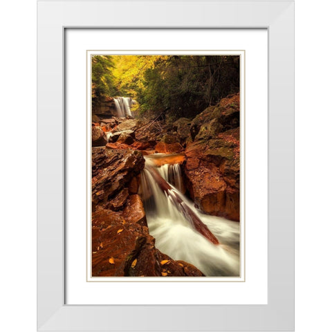 Natures Path White Modern Wood Framed Art Print with Double Matting by Amos, Andy