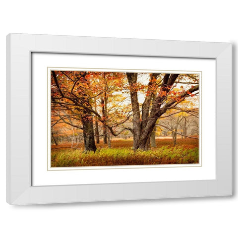 Crossing Paths White Modern Wood Framed Art Print with Double Matting by Amos, Andy