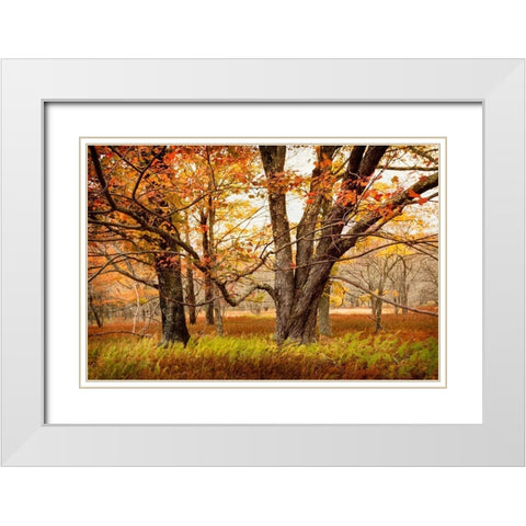 Crossing Paths White Modern Wood Framed Art Print with Double Matting by Amos, Andy