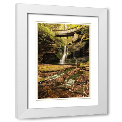 Under the Bridge II White Modern Wood Framed Art Print with Double Matting by Amos, Andy