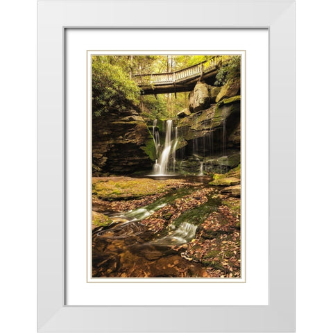 Under the Bridge II White Modern Wood Framed Art Print with Double Matting by Amos, Andy
