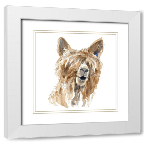 Shaggy Llama White Modern Wood Framed Art Print with Double Matting by Loreth, Lanie