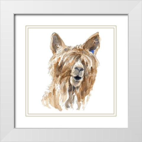 Shaggy Llama White Modern Wood Framed Art Print with Double Matting by Loreth, Lanie