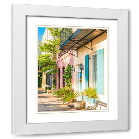 Southern Charm White Modern Wood Framed Art Print with Double Matting by Bill Carson Photography