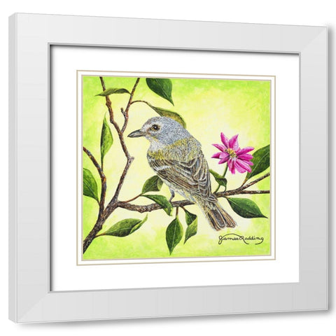 Tropical Bird White Modern Wood Framed Art Print with Double Matting by Redding, James